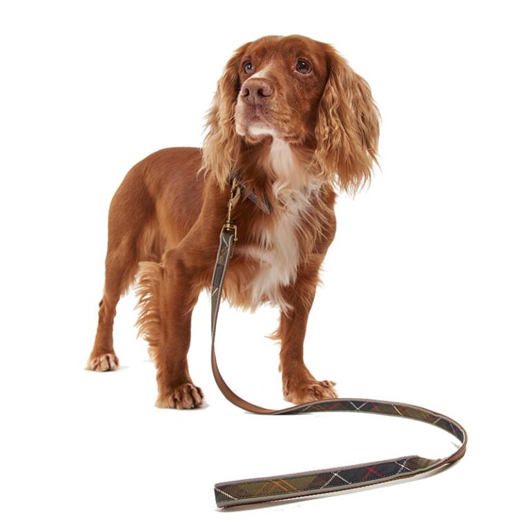 barbour-tartan-reflective-dog-lead-model