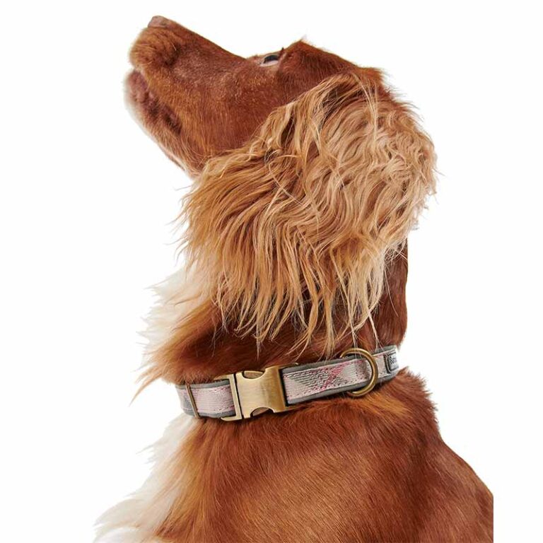 barbour-tartan-reflective-dog-collar-taupe-model