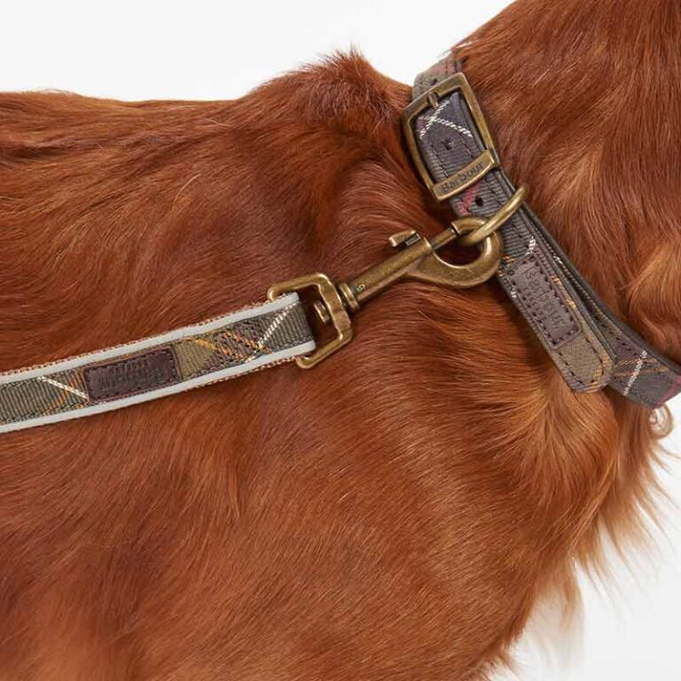 barbour-tartan-reflective-dog-collar-model